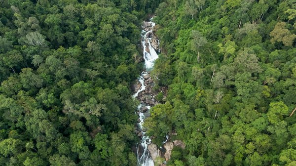 Comment le Festival de Cannes Dynamise l'Économie Locale : Impact et Opportunités