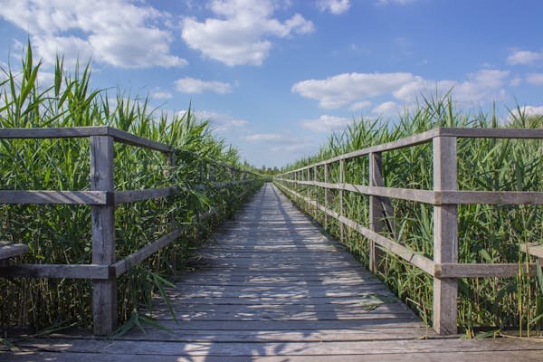 Trouvez le piquet de clôture idéal pour votre jardin